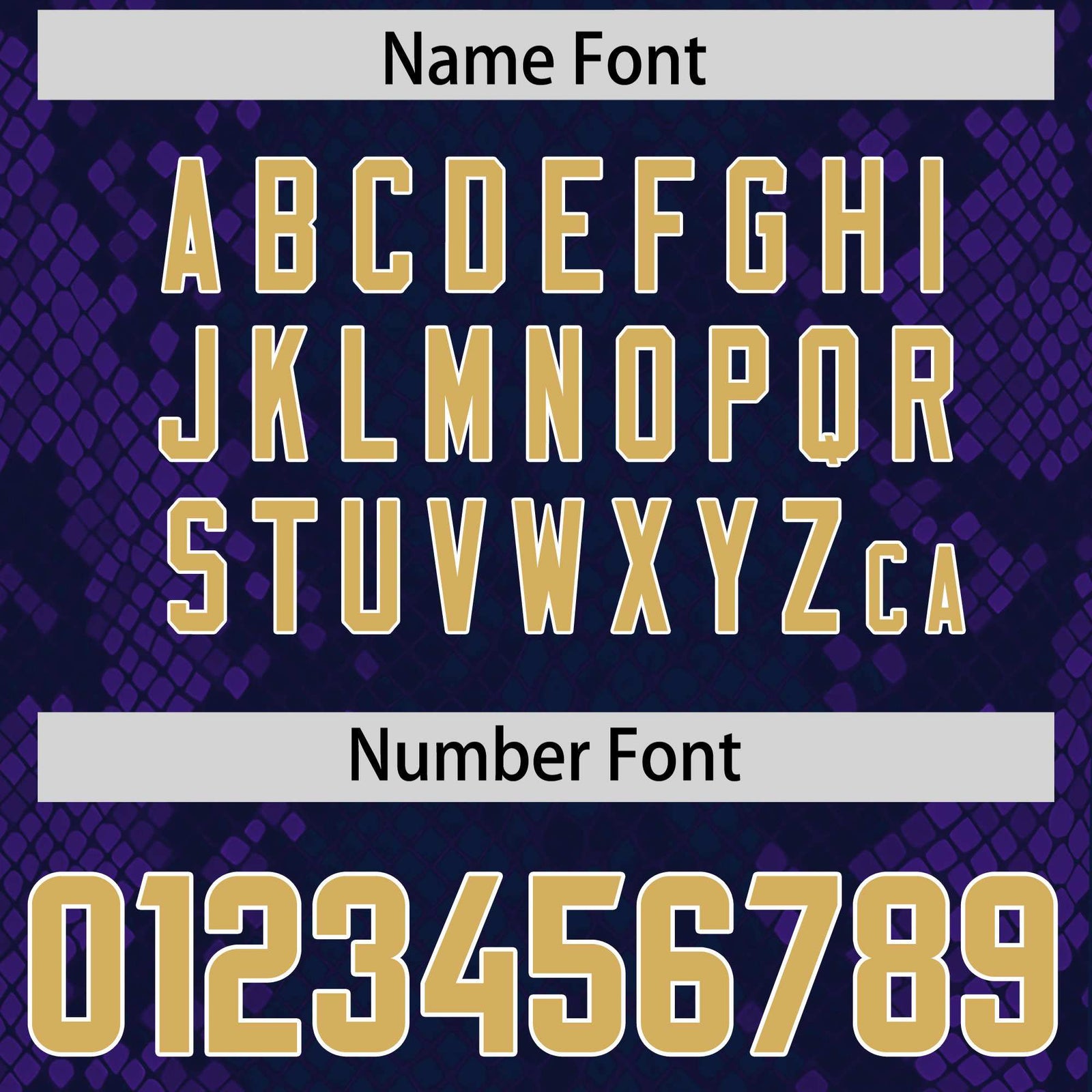 Custom Navy Personalized Snakeskin Graffiti Pattern Authentic Football Jersey