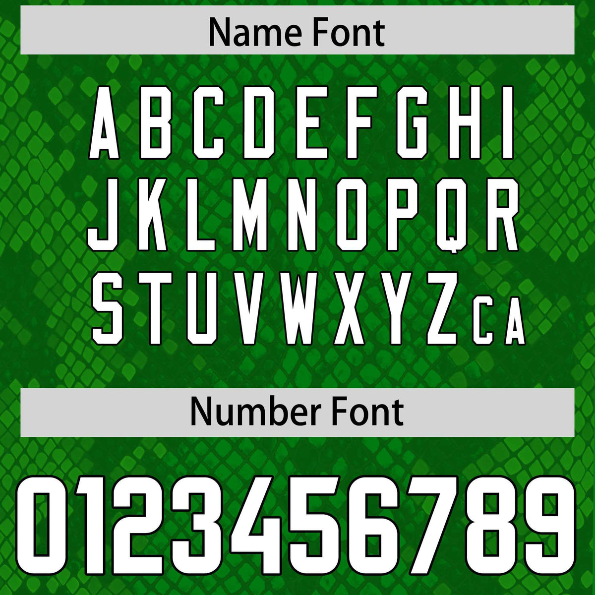 Custom Kelly Green Personalized Snakeskin Graffiti Pattern Authentic Football Jersey