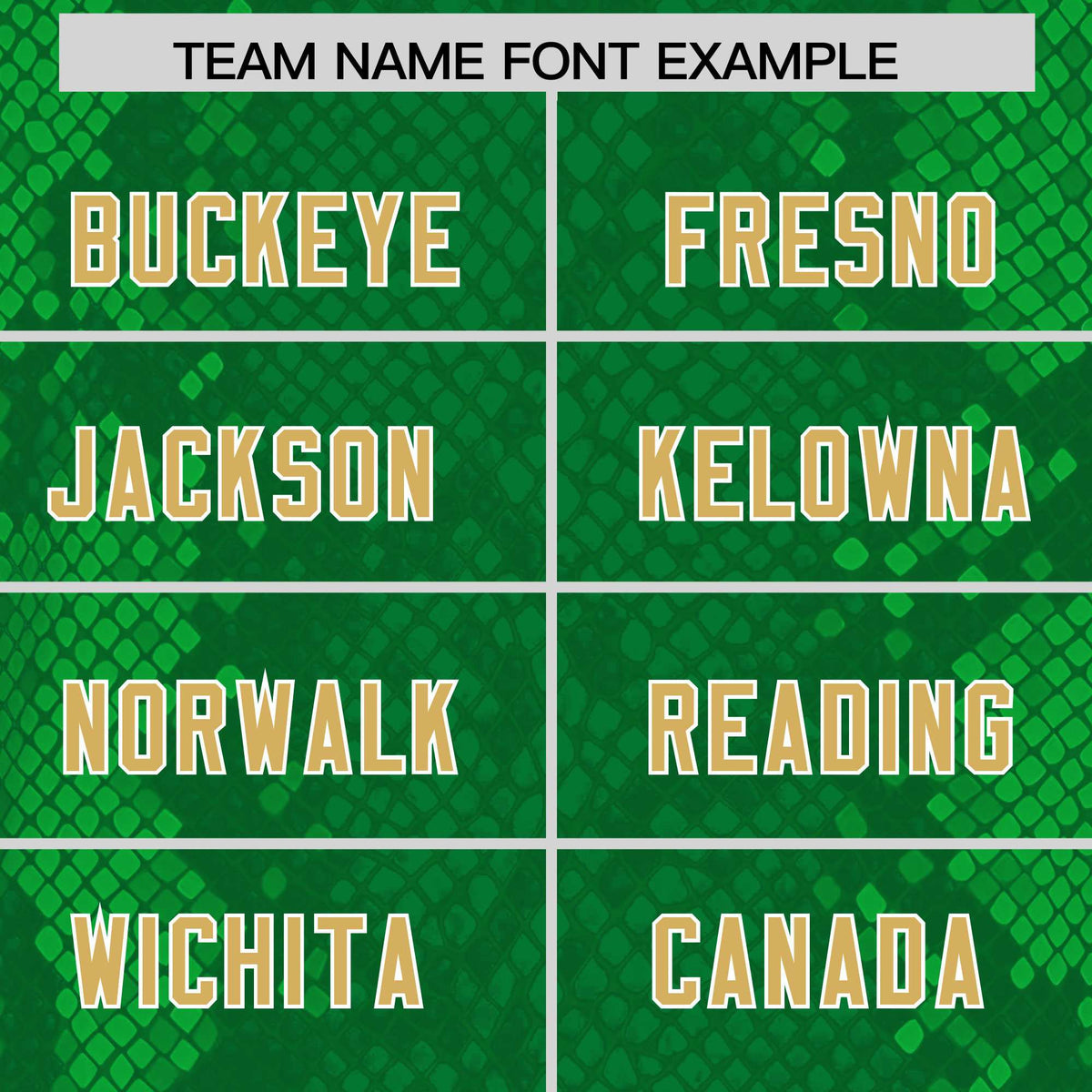 Custom Kelly Green Personalized Snakeskin Graffiti Pattern Authentic Football Jersey