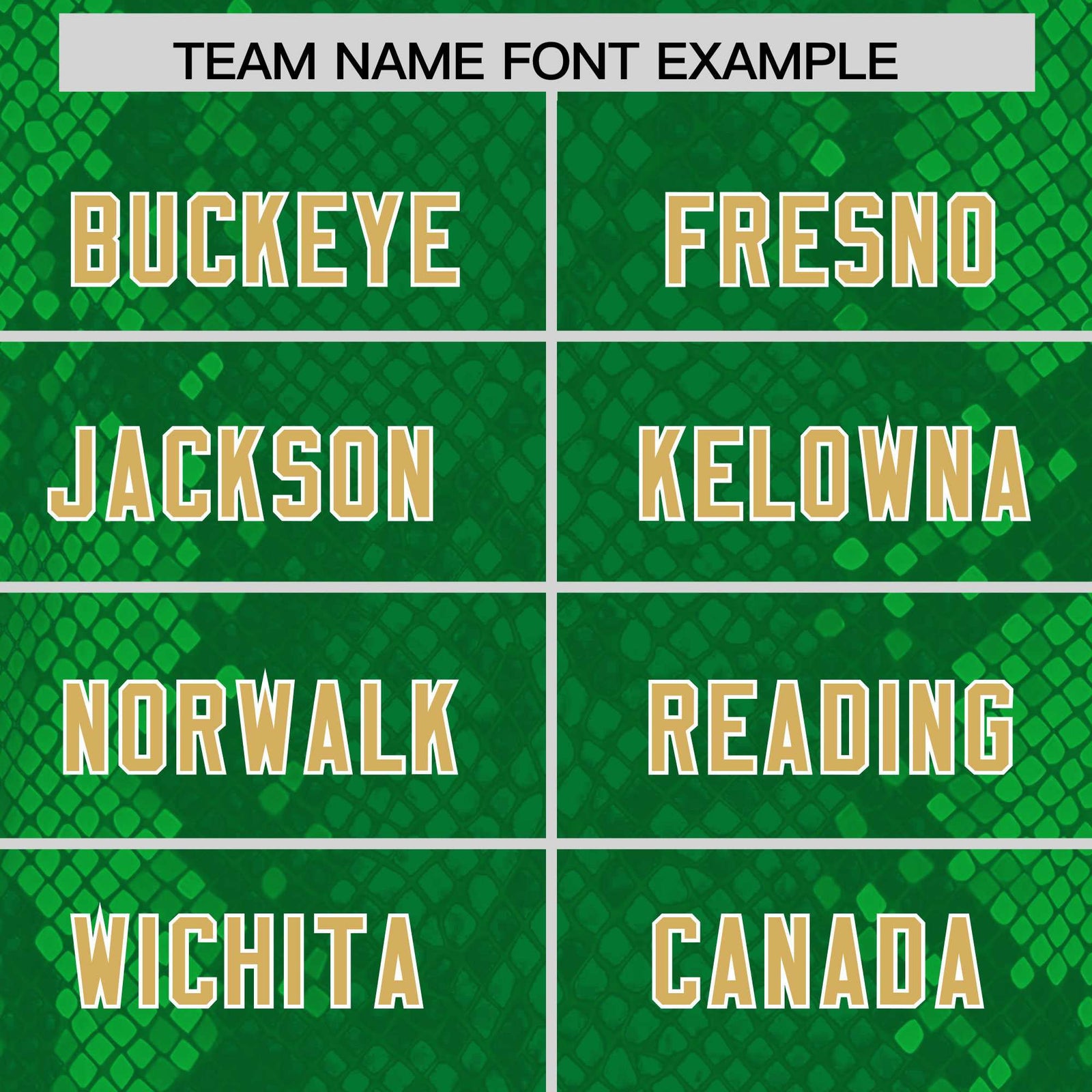 Custom Kelly Green Personalized Snakeskin Graffiti Pattern Authentic Football Jersey