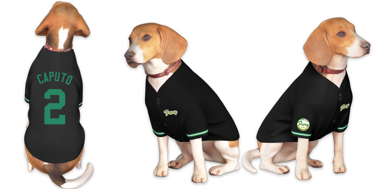 Custom Black Kelly Green Classic Style Dog Jersey