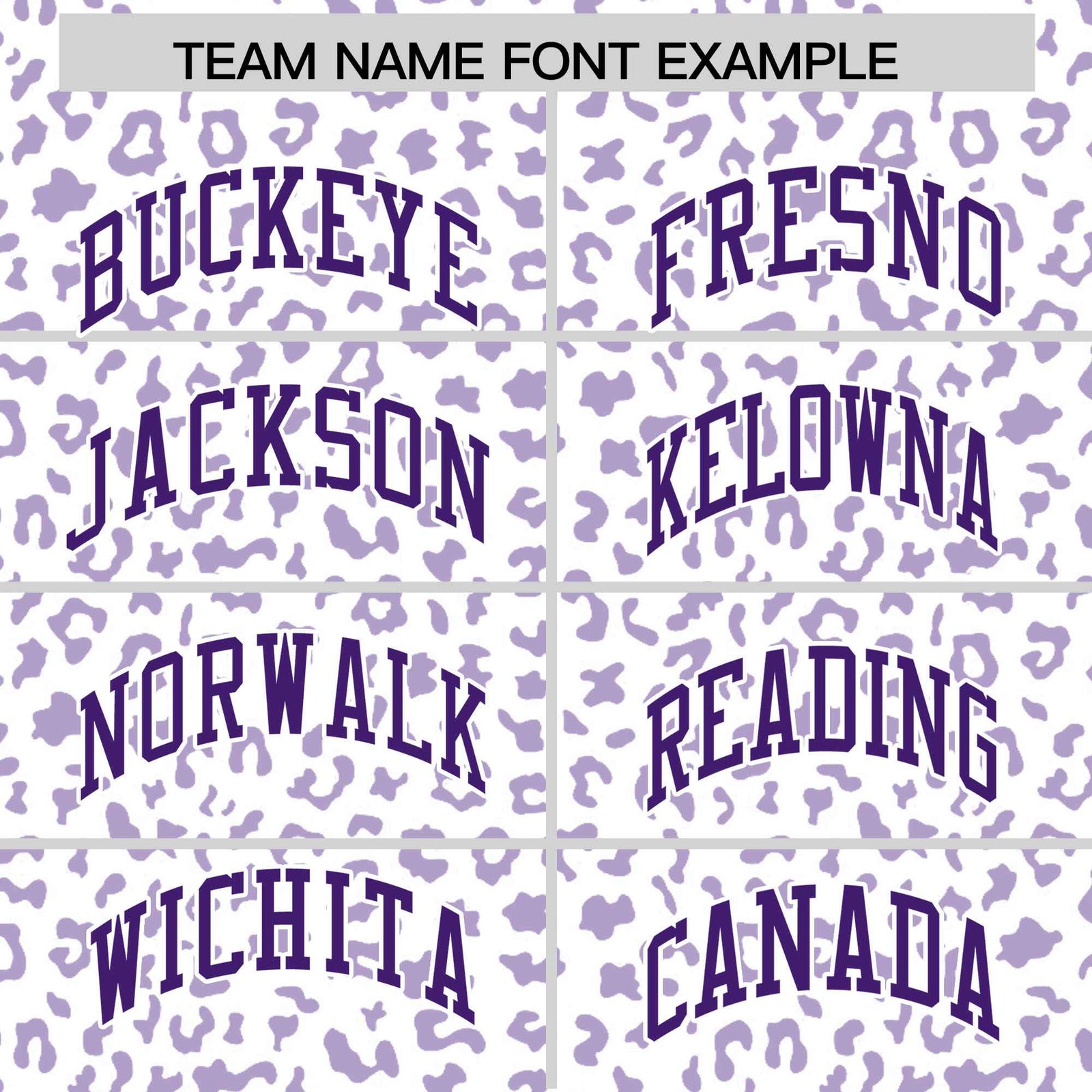 Custom Purple Light Purple Varsity Full-Zip Letterman Leopard Print Hoodie Jacket