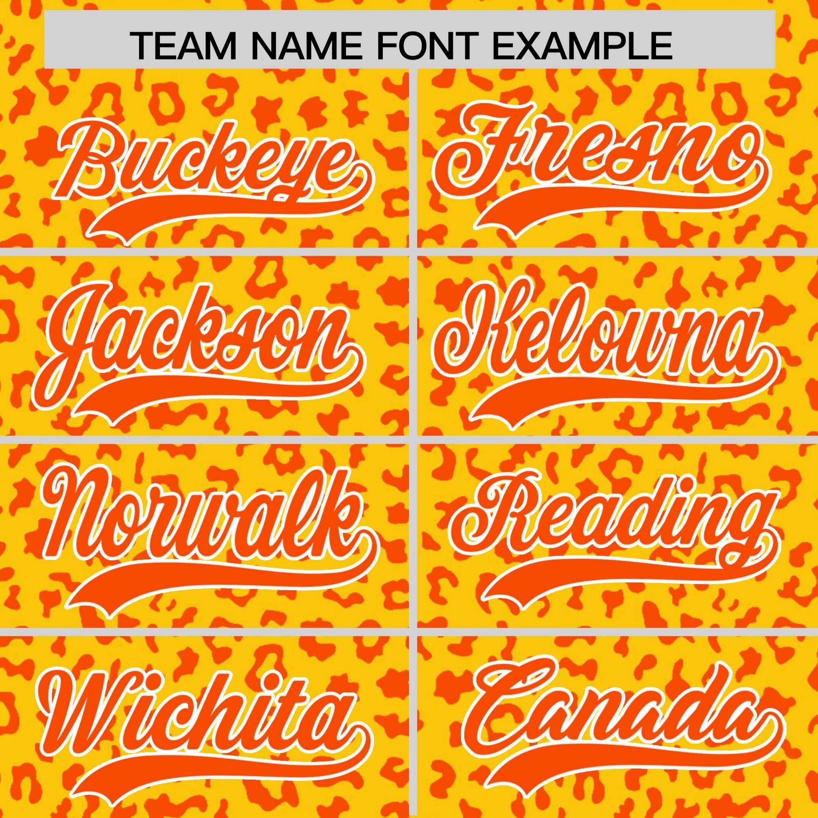 Custom Orange Aqua Varsity Full-Zip Letterman Leopard Print Hoodie Jacket