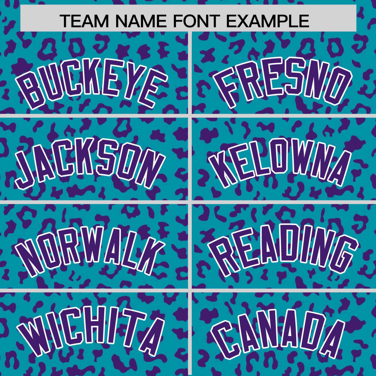 Custom Teal Purple Varsity Full-Zip Letterman Leopard Print Hoodie Jacket