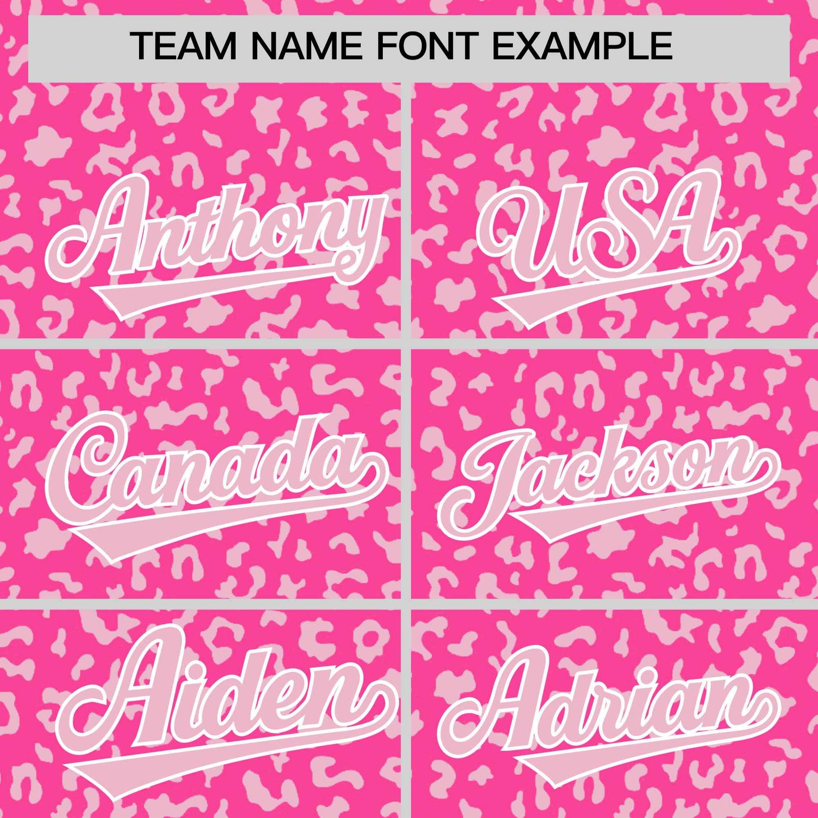 Custom Pink Light Pink Varsity Full-Zip Letterman Leopard Print Hoodie Jacket