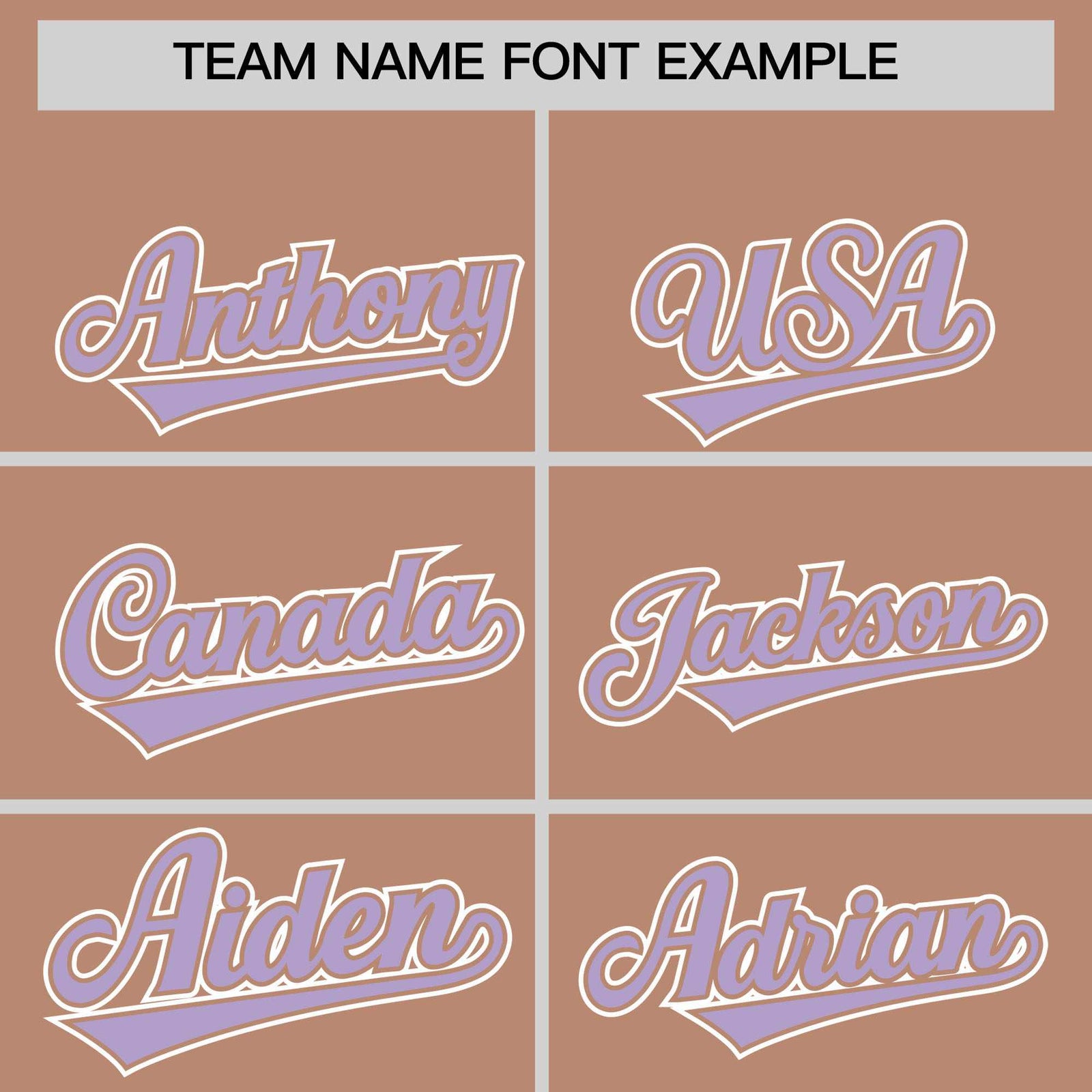 Custom Teabrown Light Purple Raglan Sleeves Varsity Full-Snap Letterman Two Tone Hoodie Jacket