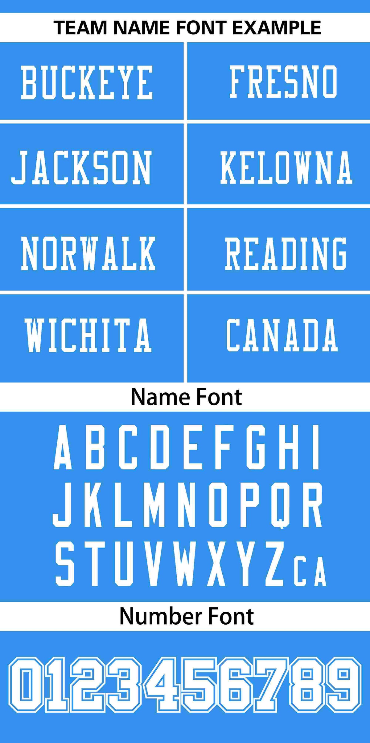 Custom Panther Blue White Insert Color Design Mesh Authentic Football Jersey