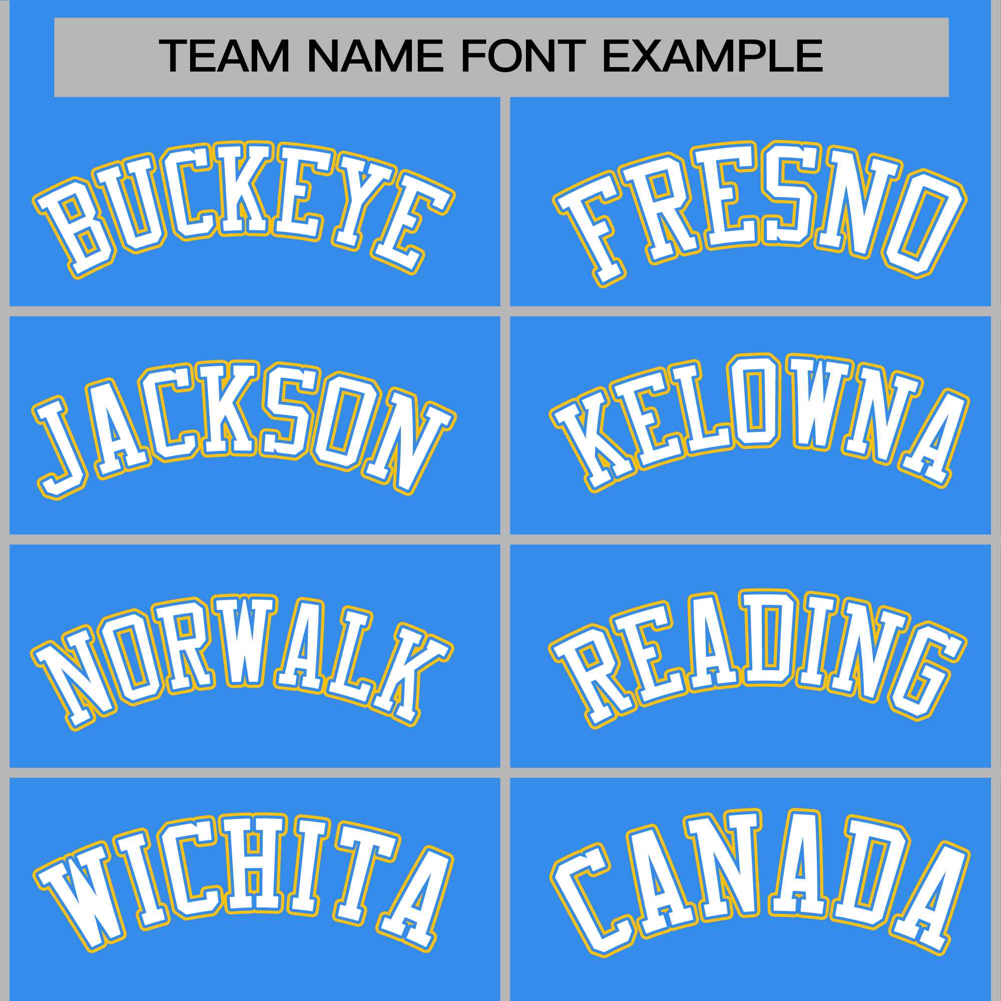 Custom Powder Blue White-Powder Blue Raglan Sleeves Varsity Full-Snap Letterman Jacket