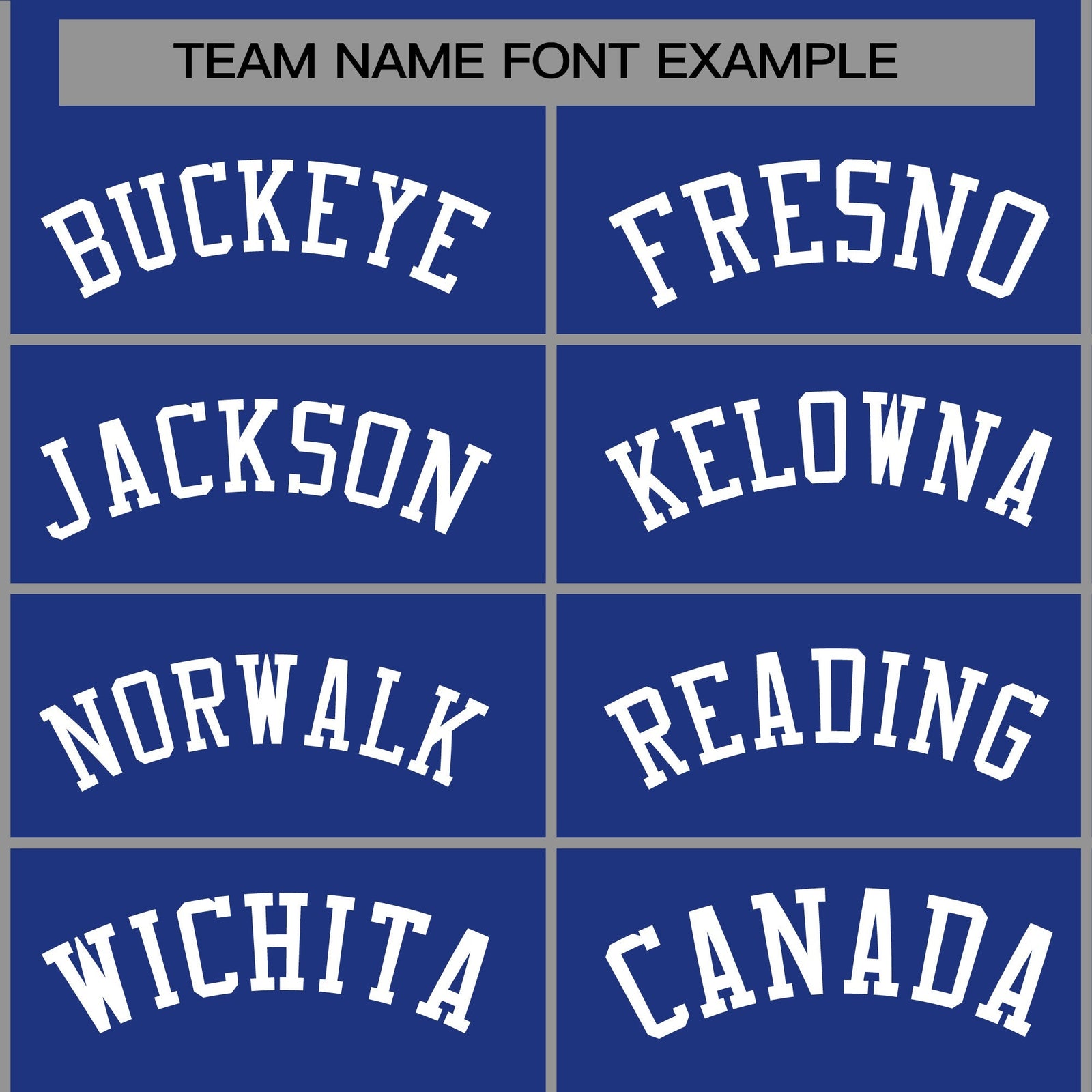 Custom Royal White Classic Style Varsity Full-Snap Letterman Jacket