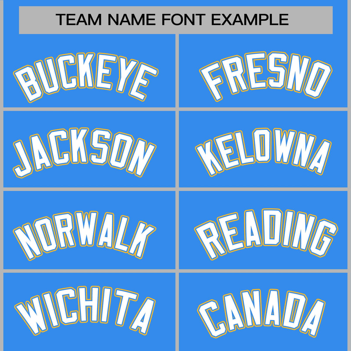 Custom Powder Blue White-Powder Blue Raglan Sleeves Varsity Full-Snap Letterman Jacket